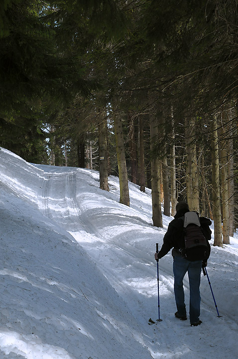 Beskid Żywiecki - Zdjęcie 13 z 20